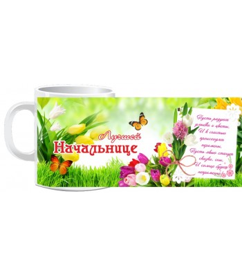 Кружка ЛУЧШЕЙ НАЧАЛЬНИЦЕ