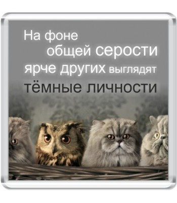 Магнит Темные личности