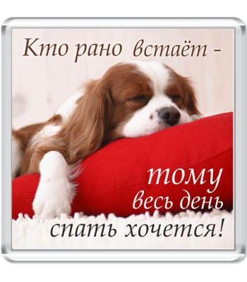 Магнит Кто рано встает...