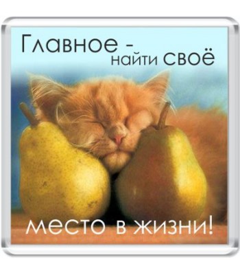 Магнит Главное - найти свое место...