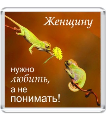 Магнит Женщину нужно любить...