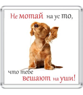 Магнит Не мотай на ус...