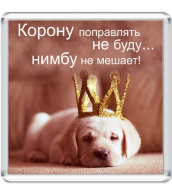 Магнит Корону поправлять не буду...