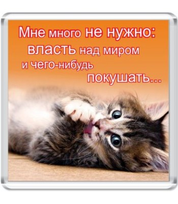 Магнит Мне много не нужно...