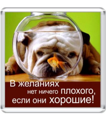 Магнит В желаниях...