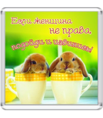 Магнит Если женщина не права...