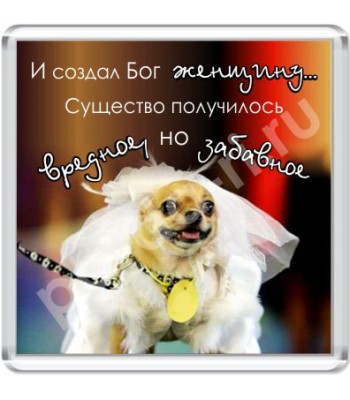 Магнит Вредное, но забавное