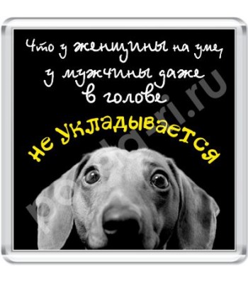 Магнит Что у женщины на уме...