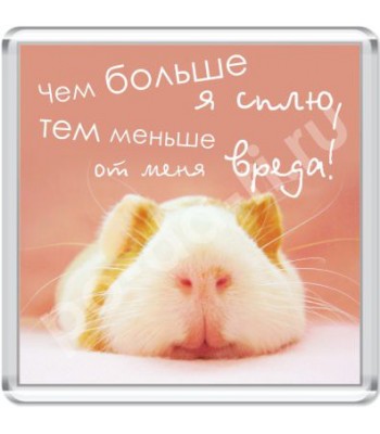 Магнит Чем больше я сплю...