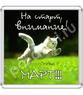 Магнит На старт, внимание