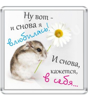 Магнит Снова я влюбилась...