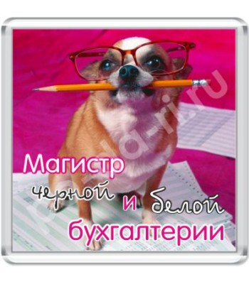 Магнит Магистр бухгалтерии