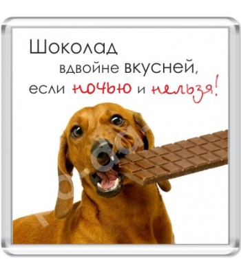 Магнит Шоколад вдвойне вкусней...