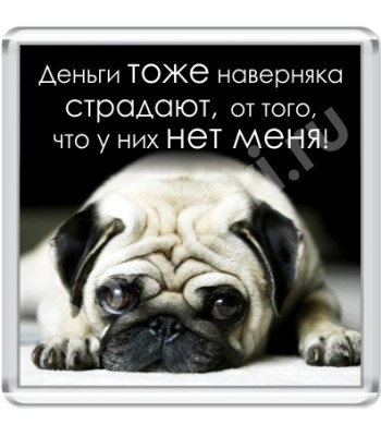 Магнит Деньги тоже...