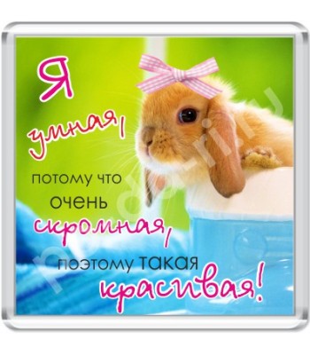 Магнит Я умная...
