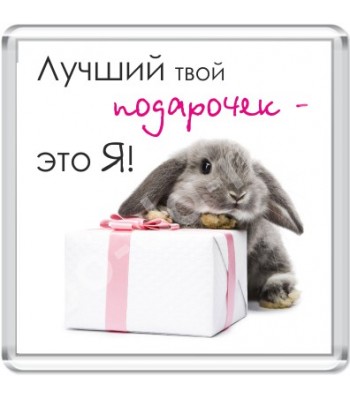 Магнит Лучший твой подарочек