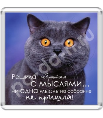 Магнит Решила собраться...