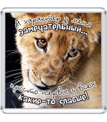 Магнит Замечательный характер
