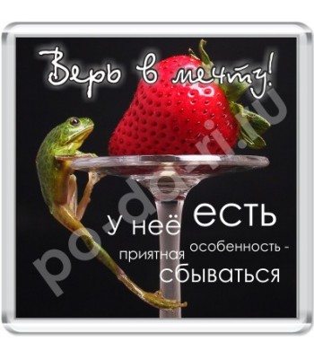 Магнит Верь в мечту!